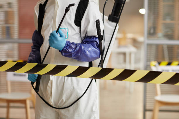 Professional Hoarding Cleanup technician working in Twin Bridges, CA